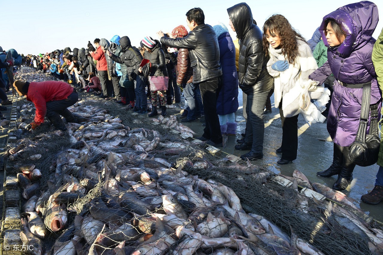 浅谈对佛教的认识,如何正确认识佛教这一宗教