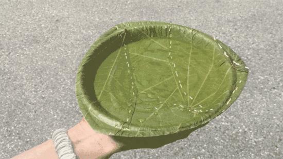 “三竹”过后真正的报应来了