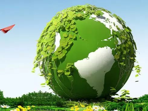 养猪怎么才能提高经济效益,养猪的经济效益和社会效益