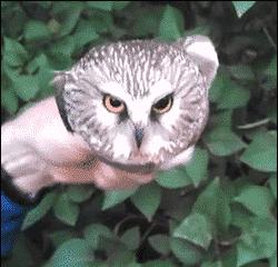 为什么放的屁都是臭的呢 (为什么放的屁那么臭啊)