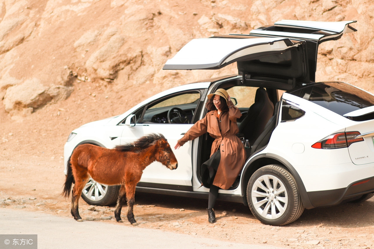 你和铁妈就差个电动车了……