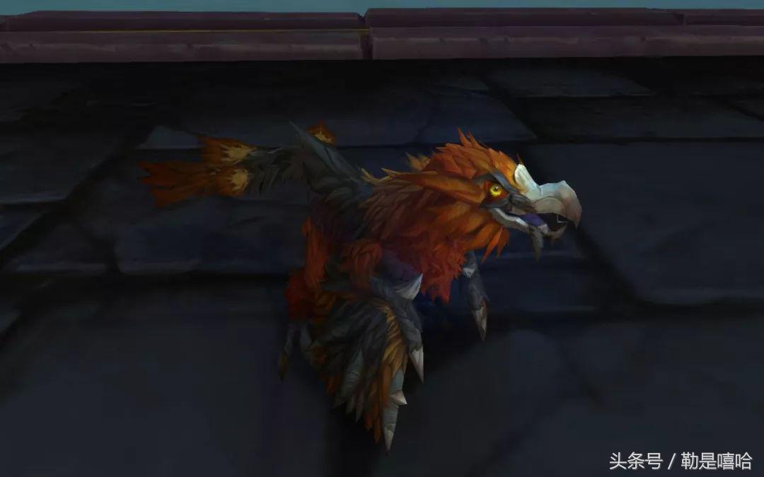 魔兽世界各种稀有宠物排名,魔兽世界稀有宠物排行榜