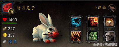 魔兽世界各种稀有宠物排名,魔兽世界稀有宠物排行榜