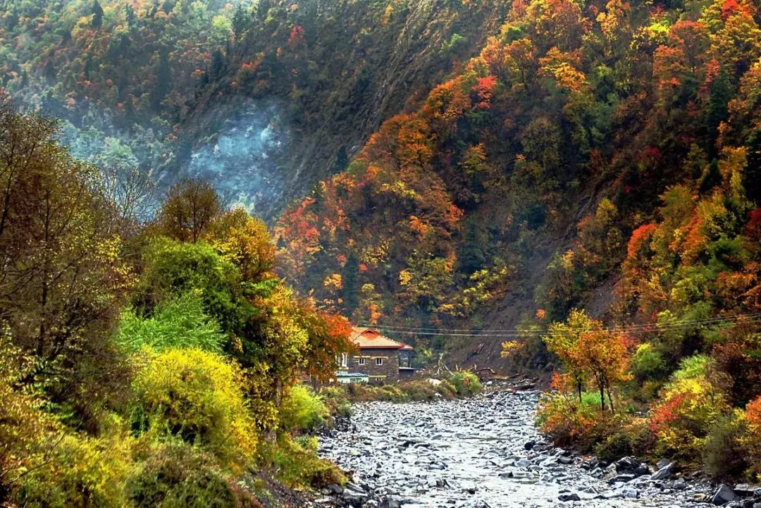 红叶秋天的一道独特风景,红叶美景惊艳了整个秋天
