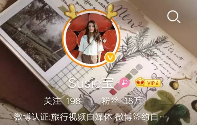 推荐几个靠谱的手帐博主,最好的几个手帐博主