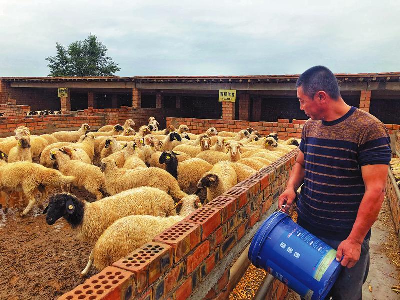 定边边城意蕴今犹在