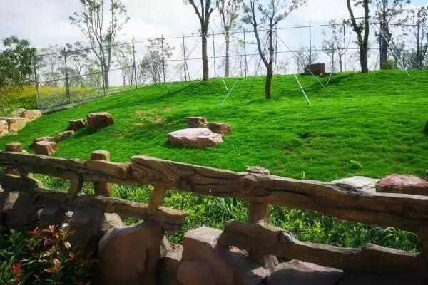 南通野生动物园打折,南通野生动物园优惠门票夜场