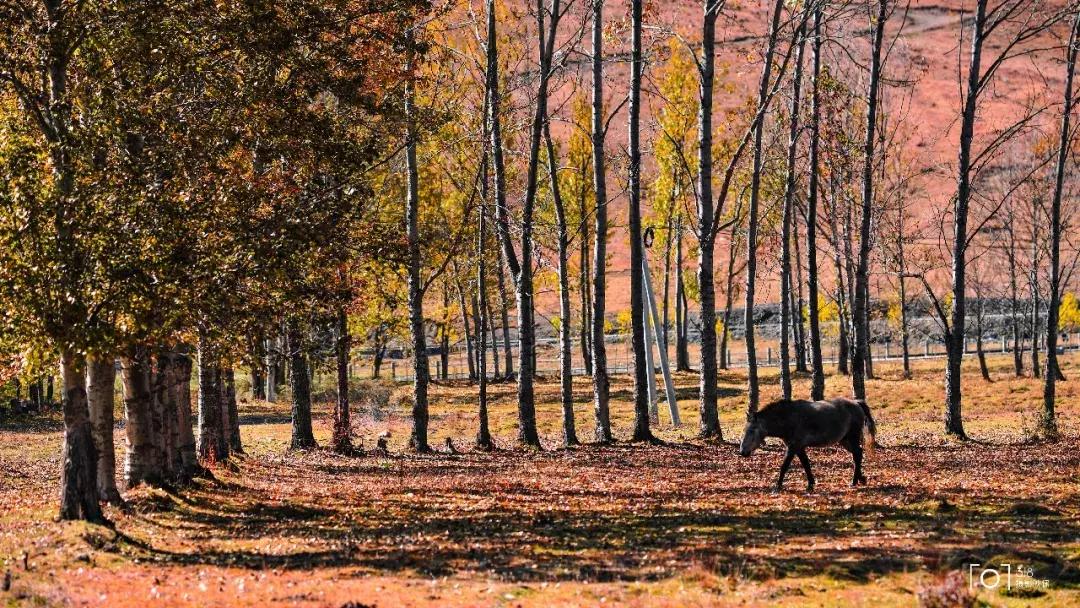 进藏哪条路线风景最好,进藏路线哪条线风景最好