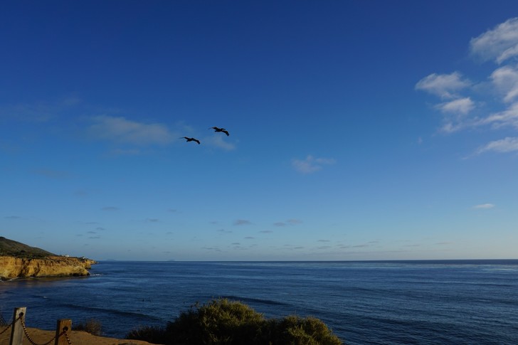 美国纽约自驾游最佳路线图,美国西部大环线自驾游攻略