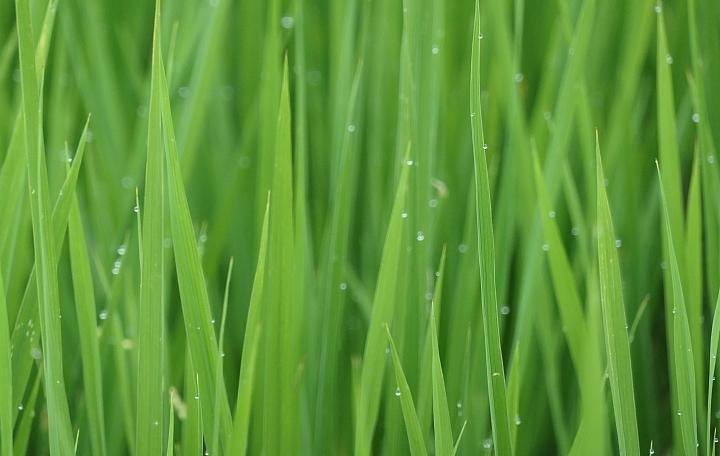 leica徕卡c-lux2多少钱,徕卡clux变焦