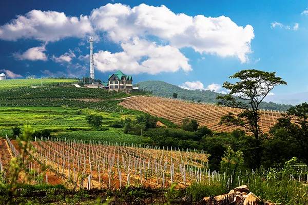 农秀才：农业农村部推荐100个休闲农业和乡村旅游精品景点线路