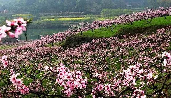 农秀才：农业农村部推荐100个休闲农业和乡村旅游精品景点线路