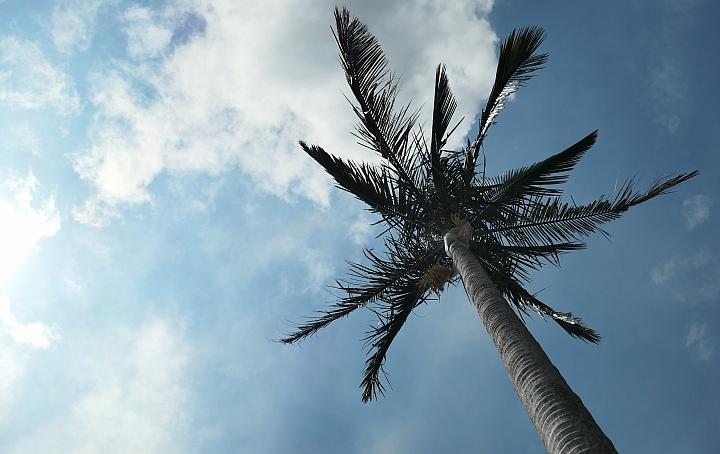 leica徕卡c-lux2多少钱,徕卡clux变焦