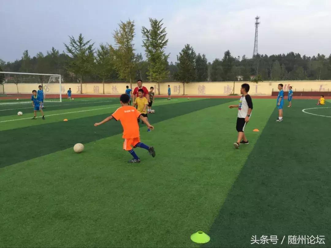 仁爱洪小，扬帆启航——随县洪山镇小学秋季教育工作纪实