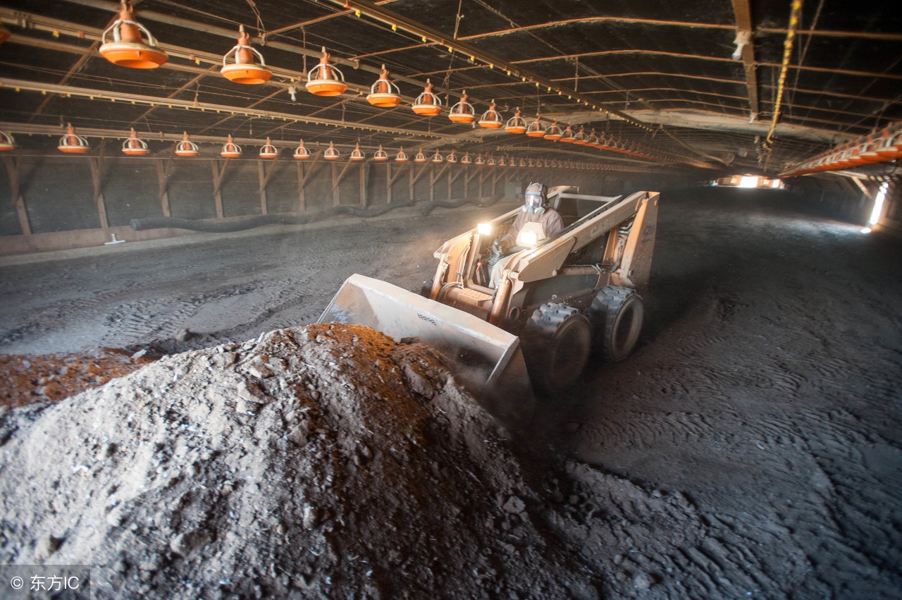鸡粪有机肥的正确使用方法,鸡粪不能用于什么菜