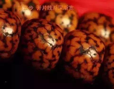 百年老星月手串,百年老星月盘玩视频