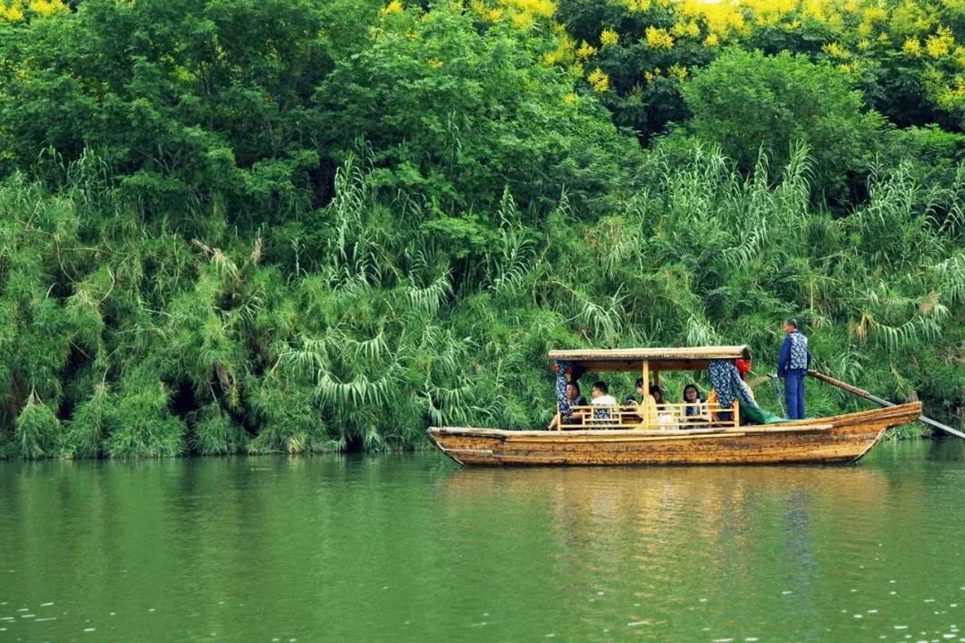 沙家浜芦苇荡游玩体验感想,沙家浜风起芦苇荡