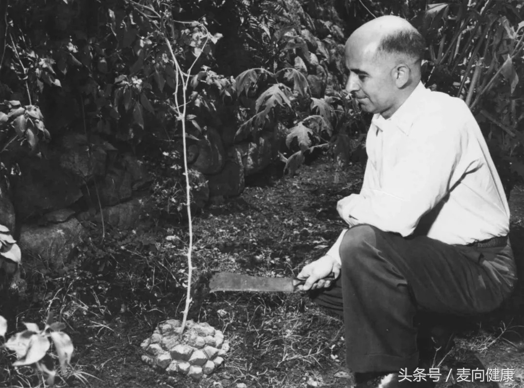 紧急避孕药对大脑有影响吗,避孕药对大脑有伤害吗