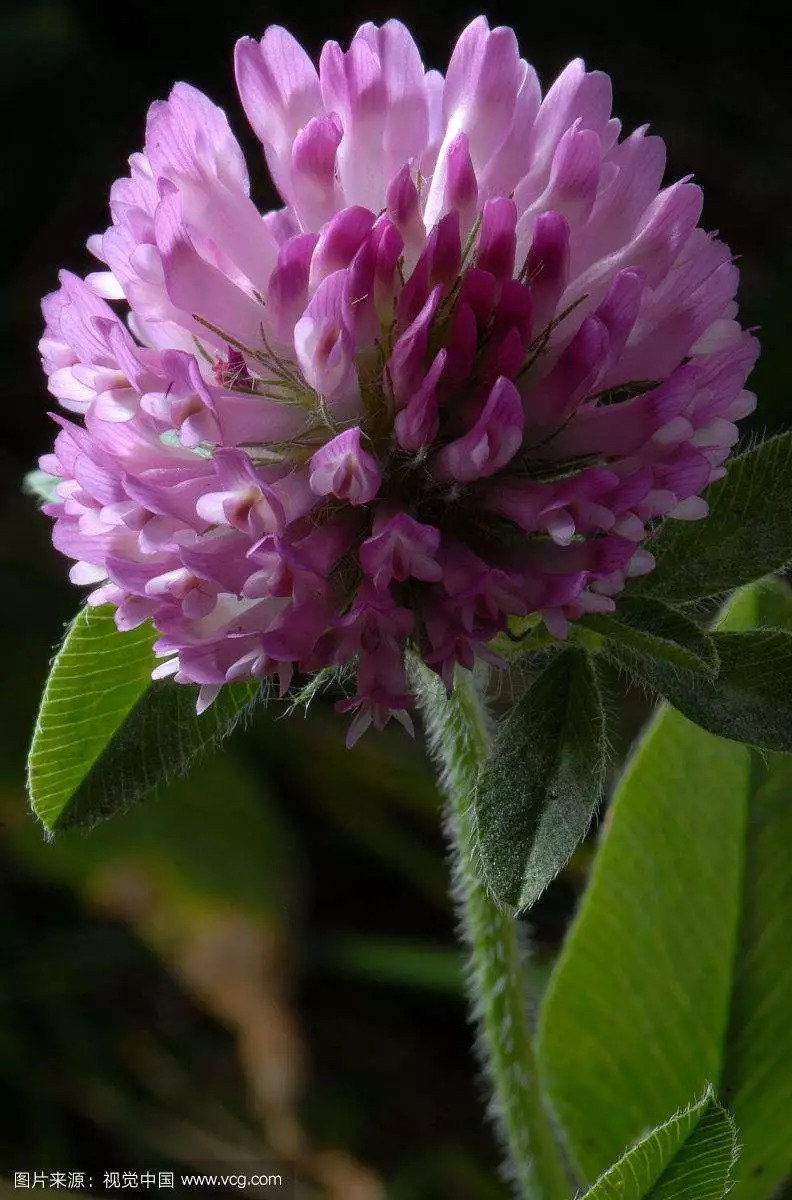 最有用的7大抗老方法,告诉你七个抗老办法