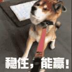 借强东大佬这档事儿，八卦下让土豪们ssfd的「仙人跳」是啥意思