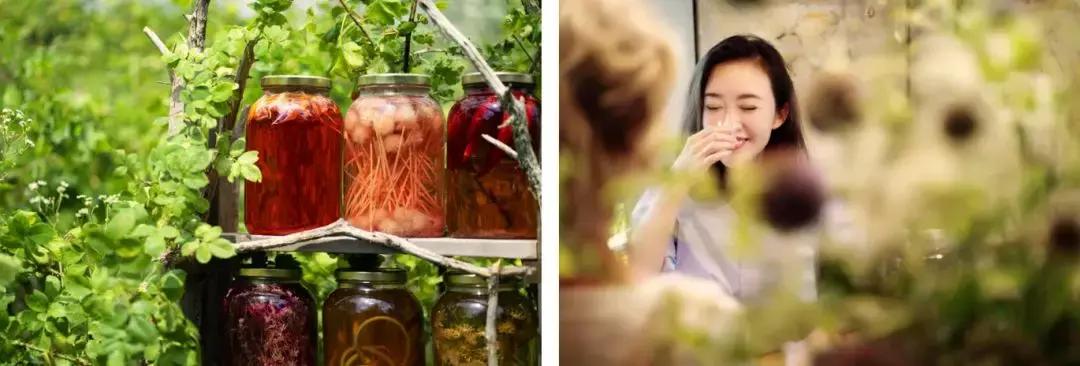 打开王潇的手账，约会加拿大新斯科舍省，遇见不一样的生活惊喜