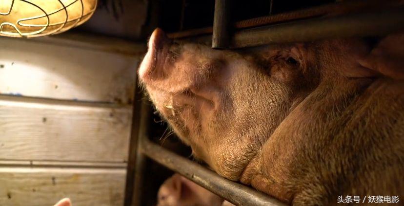 生活究竟有多么残酷,如果你觉得生活很苦不妨看一看