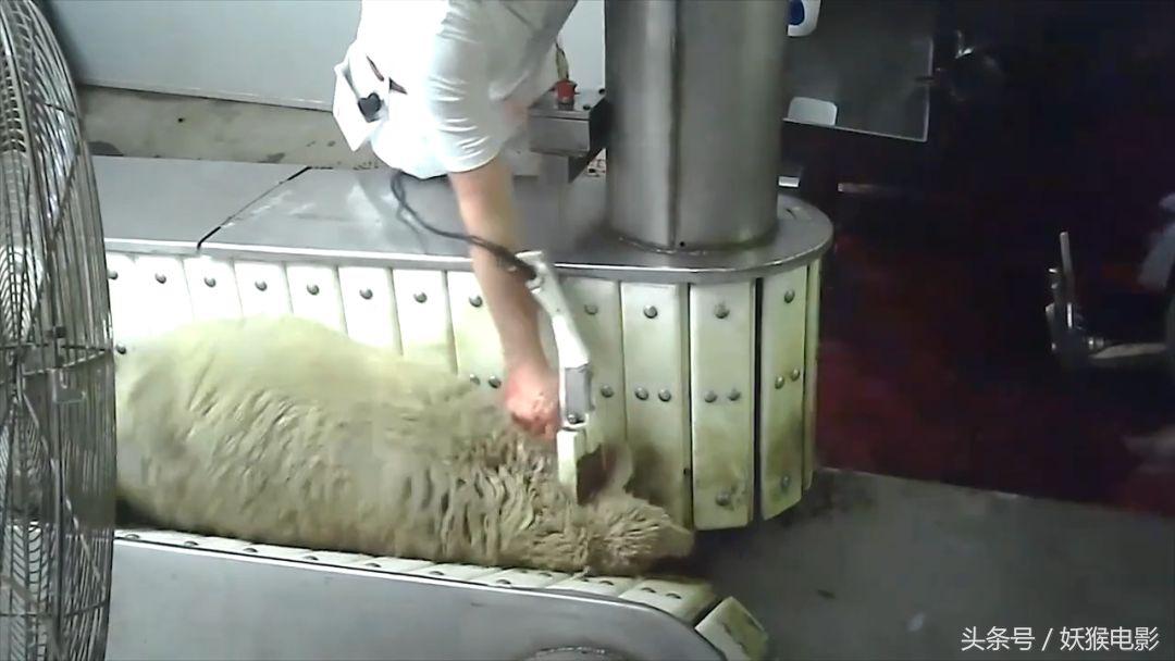 生活究竟有多么残酷,如果你觉得生活很苦不妨看一看