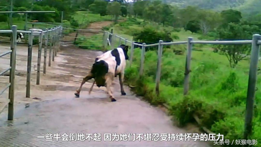 生活究竟有多么残酷,如果你觉得生活很苦不妨看一看