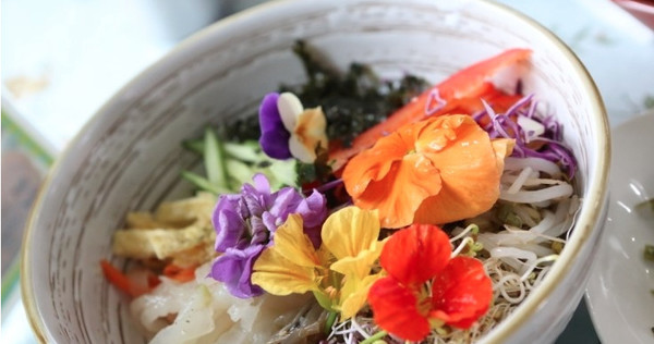 济州岛一年往返12次,到济州岛旅行行程