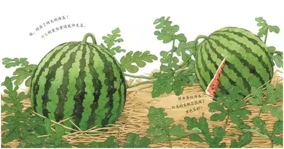 儿童益智书籍3-6岁绘本,宝宝图书1-3岁大绘本