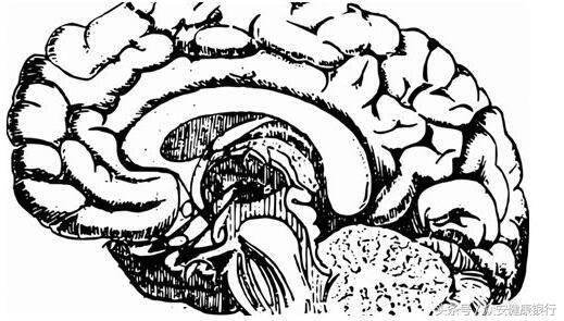 众安健康银行：多篇文章解读近年来疱疹病毒领域重要研究成果！