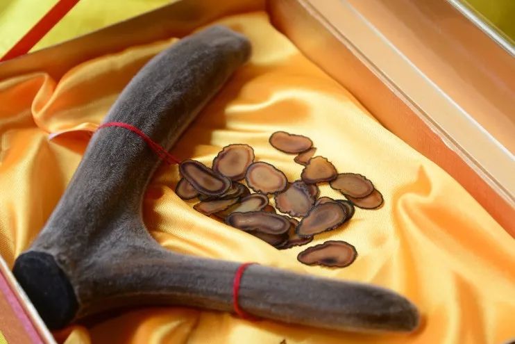 店员经典培训教材：秋冬季热销的6个贵细中药（一）