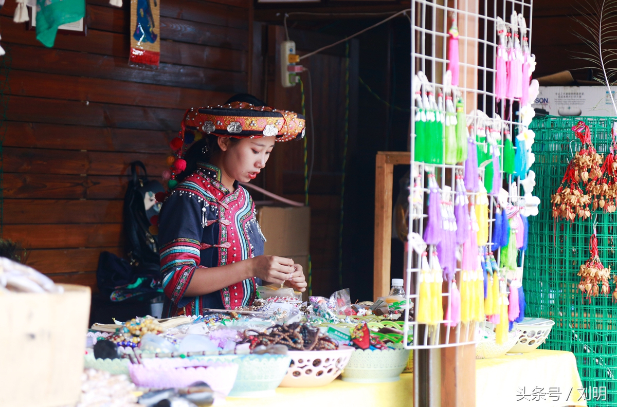 蚂蚁旅游专线云南之旅,蚂蚁旅游行