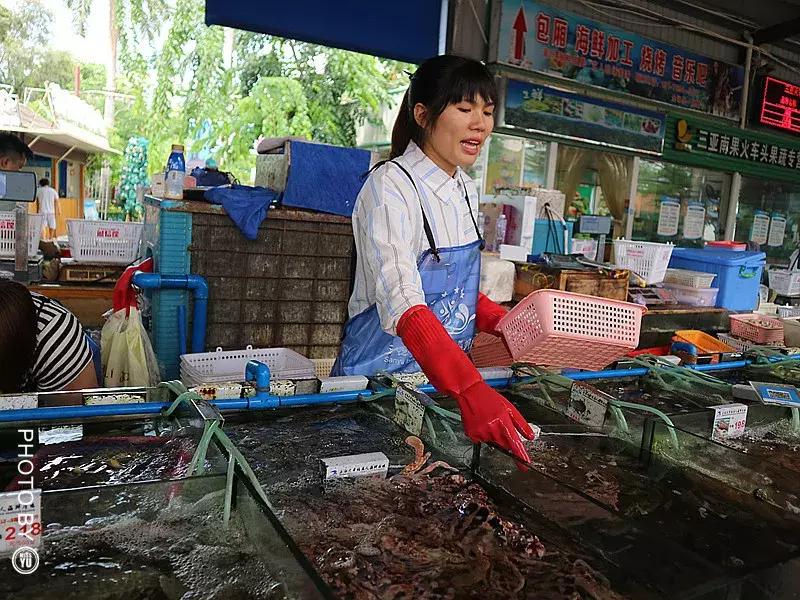 三亚旅行详细攻略自由行,三亚玩海攻略