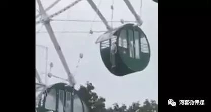 鸿雁知天下最新视频,2019鸿雁知天下