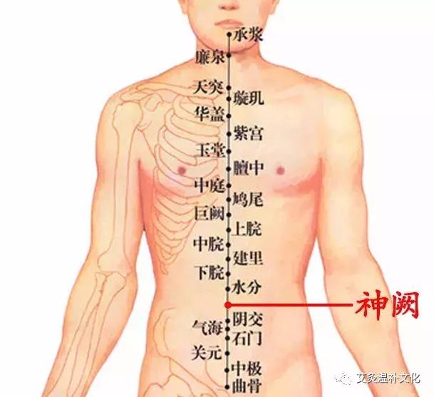 体寒艾灸什么穴位图,体寒艾灸哪个部位图解