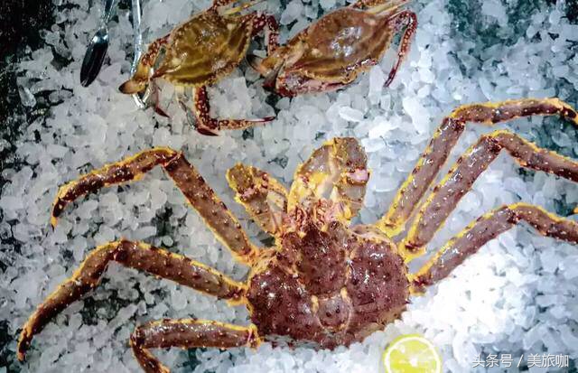 重庆必住十大网红酒店,重庆周边网红风景酒店推荐