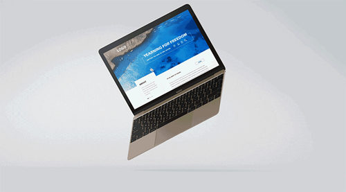 现在互联网创业还能成功吗,互联网创业项目好难