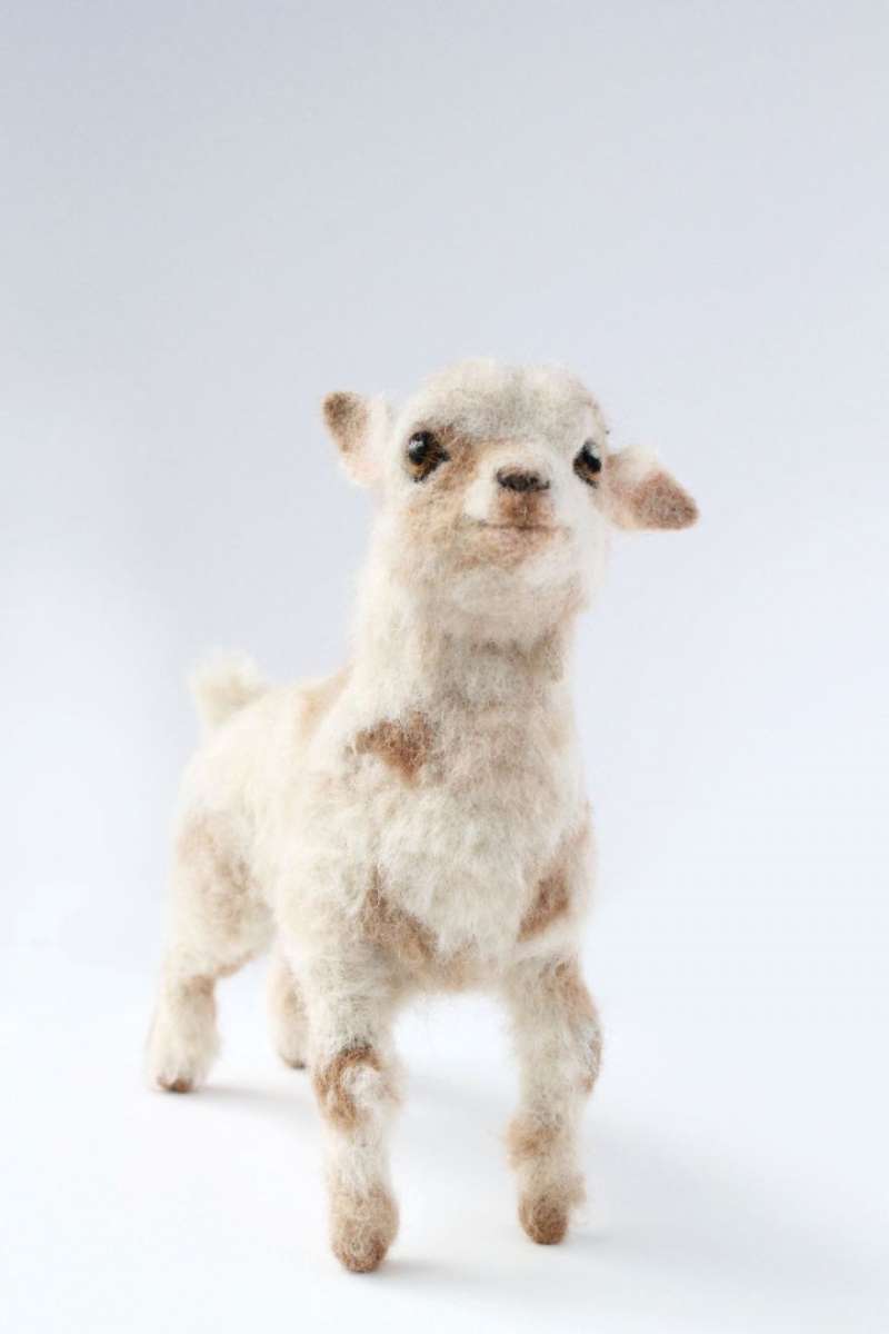 第一眼竟然以为它会动！26个好像有灵魂附体的拟真羊毛毡