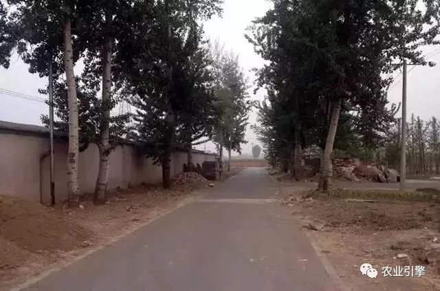 冷清的农家院被设计师折腾坏了成了京城第一精致生态农场