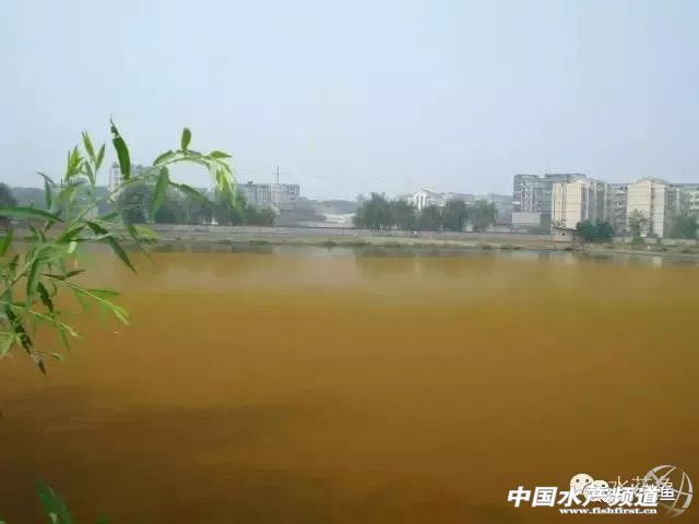 如何辨别好水,怎么分辨好水和坏水