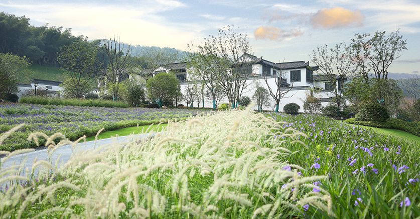 南京江宁居然藏着这么一块宝地……