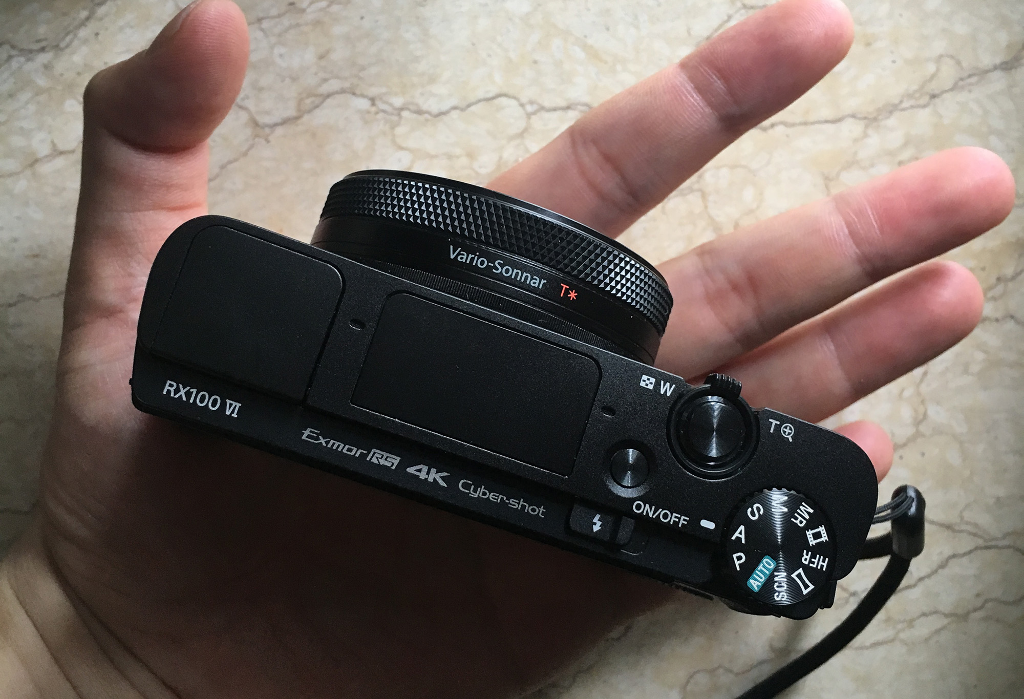 有舍有得,RX100M6长隆野生动物园中秋行摄记