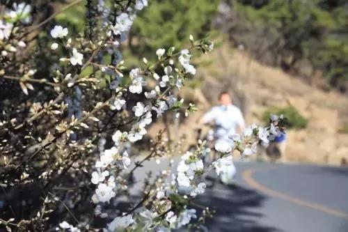 国庆去大连旅游攻略,国庆大连游玩攻略