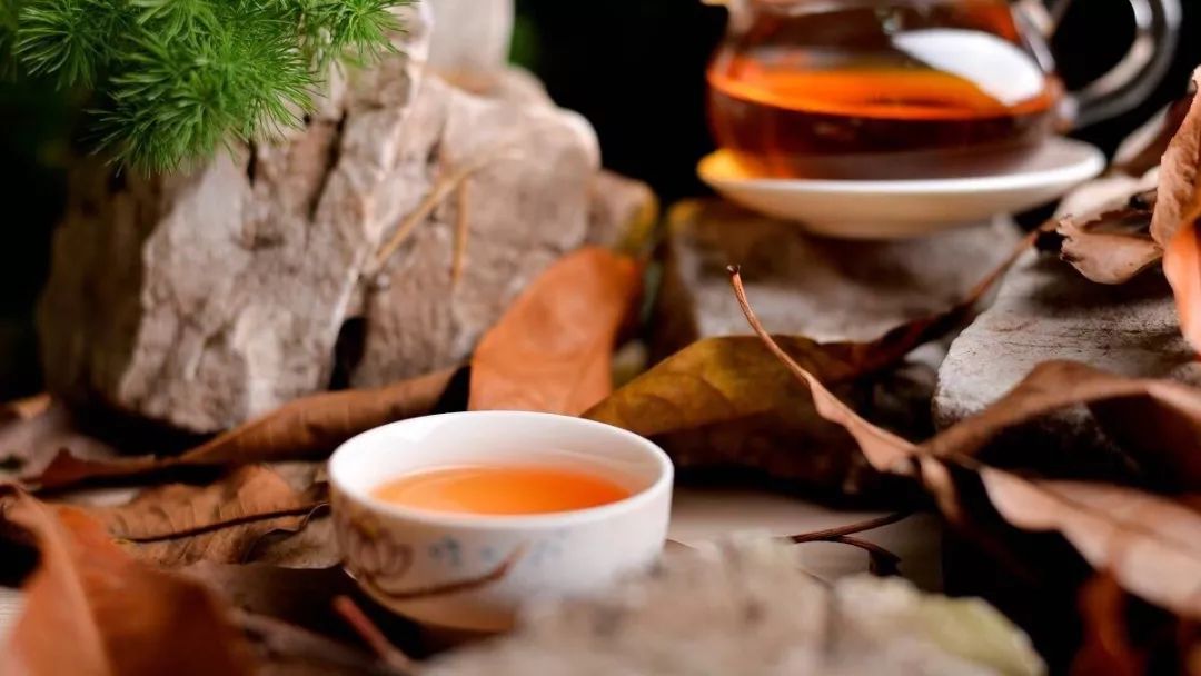 看你没见过世面的样子,看你的脸就知道你没见过世面