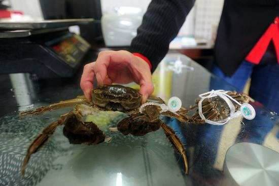 阳澄湖大闸蟹交易市场会有假冒吗,买到假冒阳澄湖大闸蟹怎么索赔