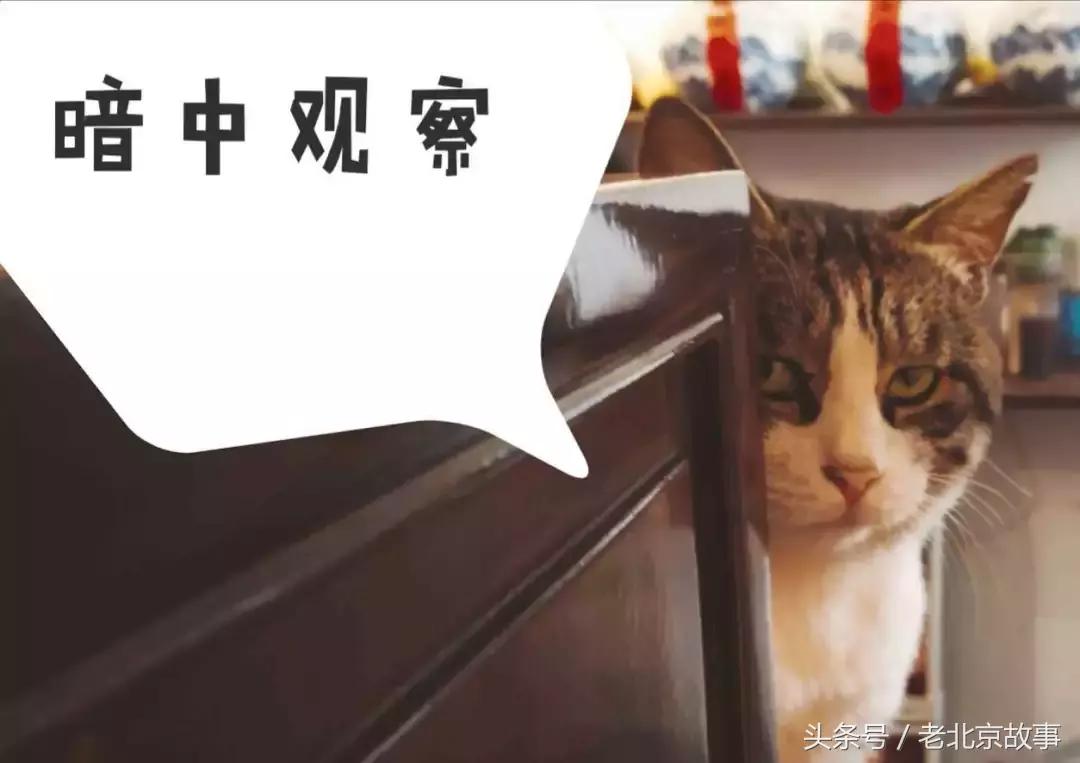 北京人讲话就是爱带儿化音?这真是对北京话最大的误解!