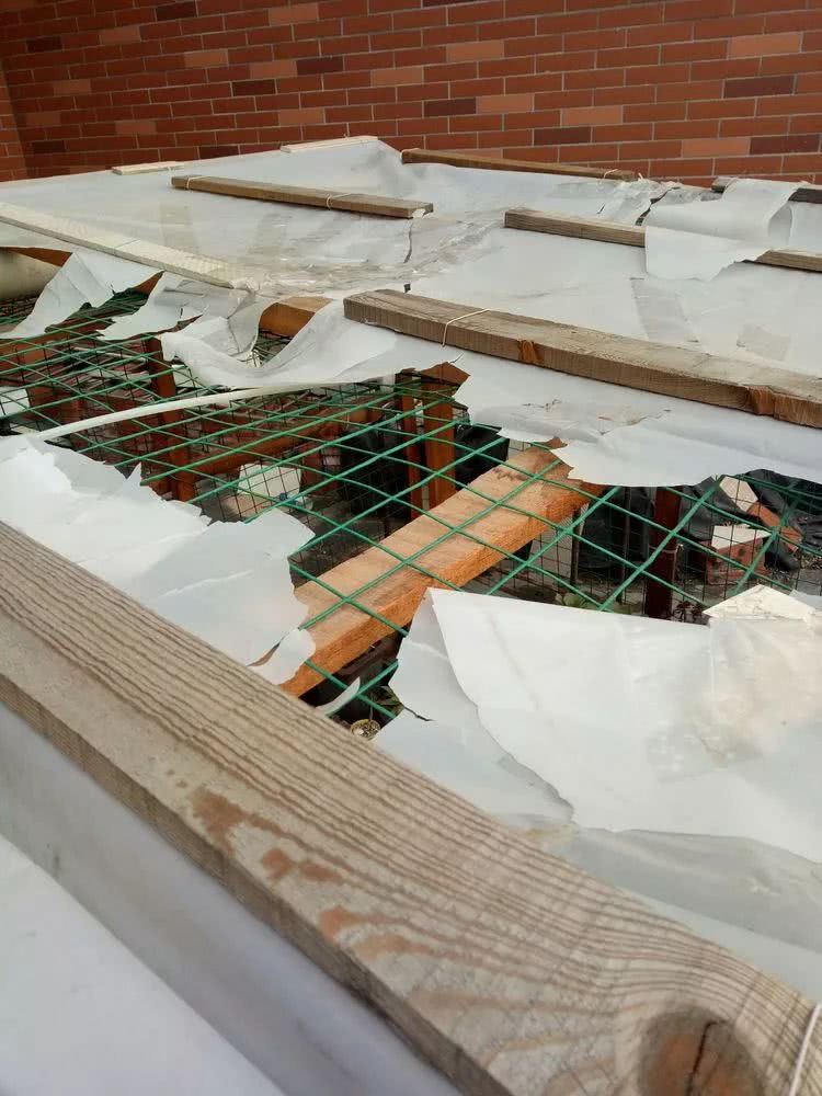 命运多舛，痴迷淡然，肉坚强们逆袭在秋天！