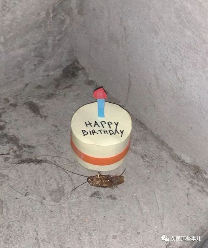 在卧室里发现一只死蟑螂,卧室发现一只死蟑螂