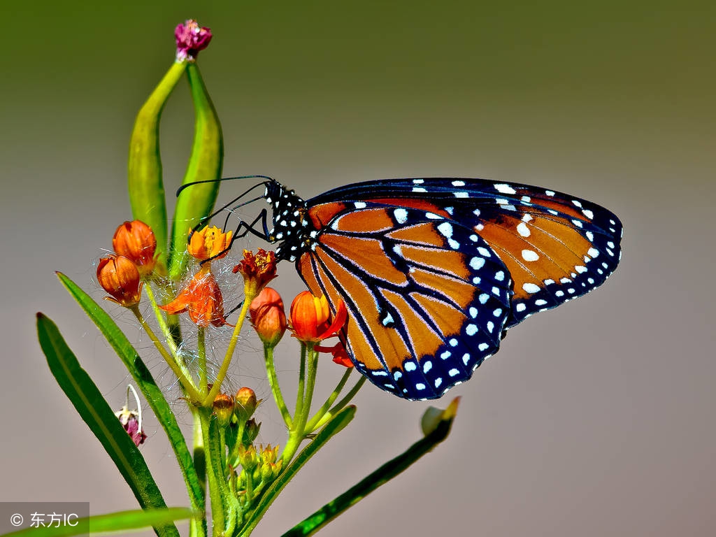 明大德守公德严私德的真正内涵,大德公德私德分别指的是什么